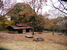 高尾山自然公園キャンプ場